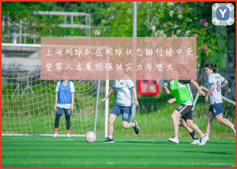 上海网球队在网球状态排行榜中荣登第八名展现强劲实力与潜力