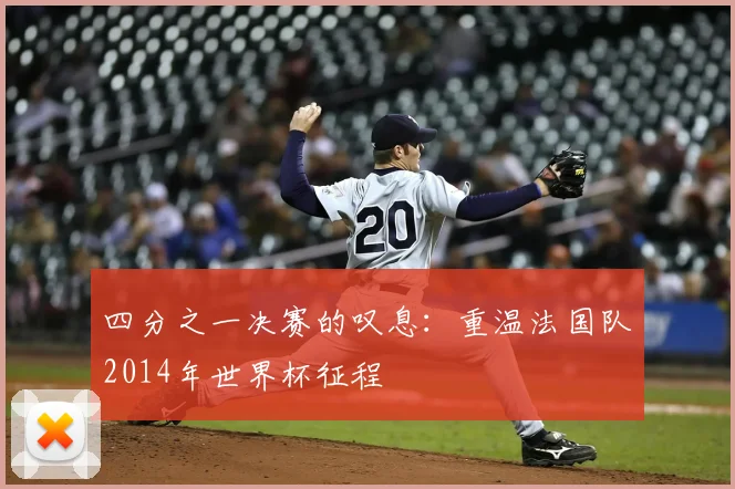 四分之一决赛的叹息：重温法国队2014年世界杯征程