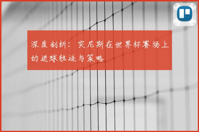 深度剖析:突尼斯在世界杯赛场上的进球轨迹与策略