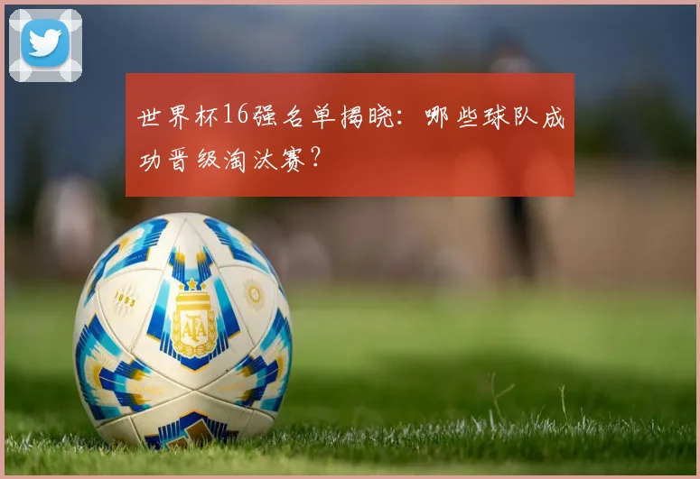 世界杯16强名单揭晓：哪些球队成功晋级淘汰赛？