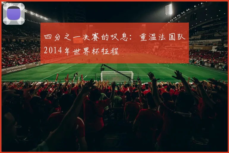 四分之一决赛的叹息：重温法国队2014年世界杯征程