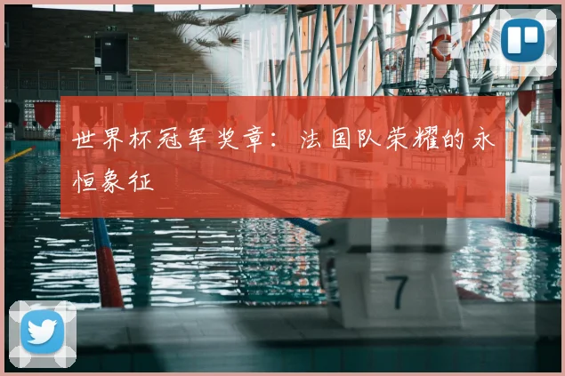 世界杯冠军奖章：法国队荣耀的永恒象征