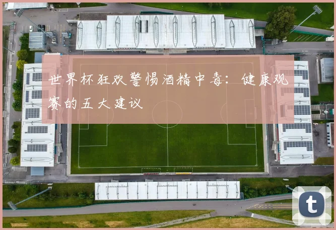 世界杯狂欢警惕酒精中毒:健康观赛的五大建议