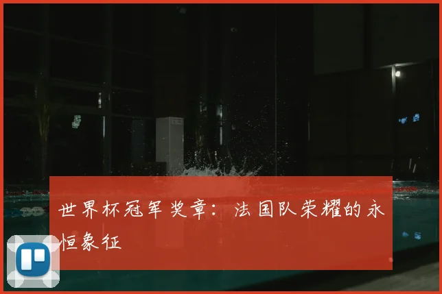 世界杯冠军奖章:法国队荣耀的永恒象征