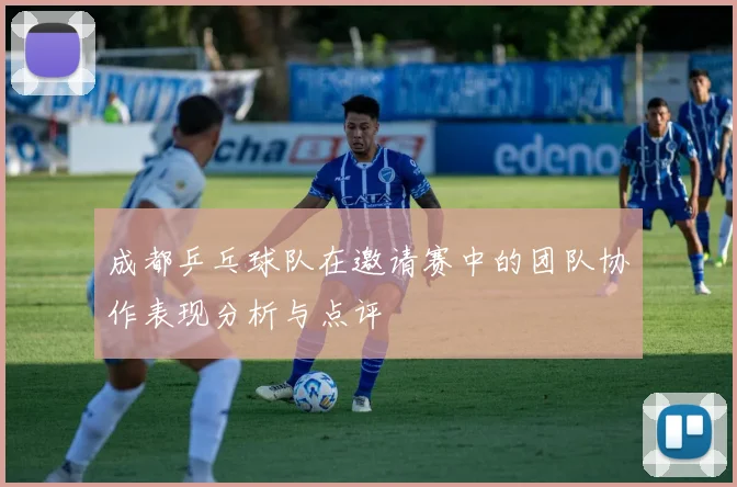 成都乒乓球队在邀请赛中的团队协作表现分析与点评