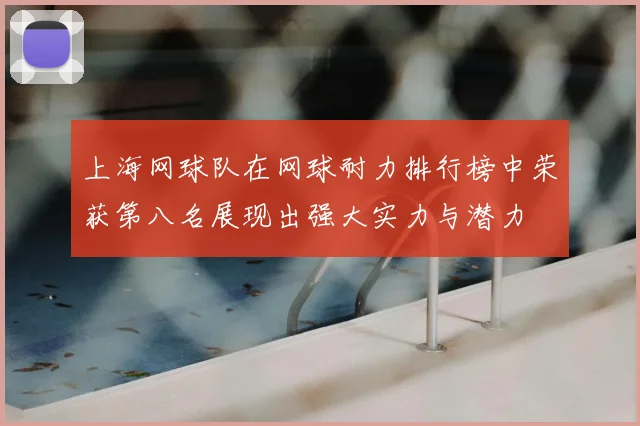 上海网球队在网球耐力排行榜中荣获第八名展现出强大实力与潜力