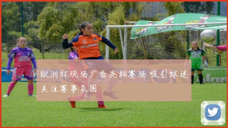 欧洲杯现场广告亮相赛场 吸引球迷关注赛事氛围