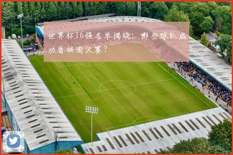 世界杯16强名单揭晓：哪些球队成功晋级淘汰赛？